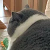 mocmeomupmip