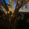 sofi_8477