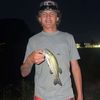 andrewfritts1