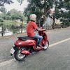 psphea67