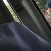 flukezp_20x