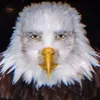 snovayfn
