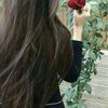 shalimarhd2