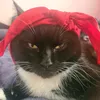 tracyannm