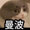hdhddj164