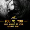 wounded_lioness