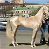 ahmedf299
