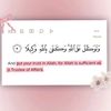 malak2179mohed