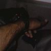 kachhwani