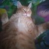 user1lv5wv8k0p