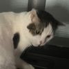 ciko_kayra