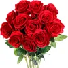 sohila3818