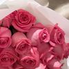coconutblossom28