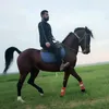 saydsrud