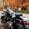 masayuki53