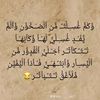 ahmedmesloub8