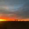 rubycox80