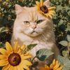hellosunshineshi
