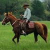 darling_brangus_ranch