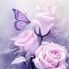 severina.g