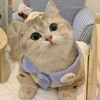 anisa.chupie