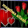 user81172142