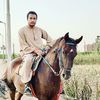 mahmoudelnaggar38