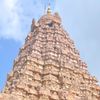 rajamani1987