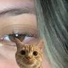 https_anyii