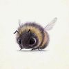 misskatiebug