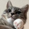emy.b3