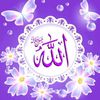 ragab.shaban3