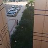 ba_dji