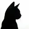 wilbert_pereira