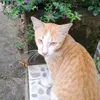 bethowiii