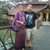 shierlyfirlaily