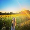 wildflower_280