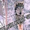 .yalnizkurt50