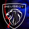 mahdipeugeot2.93