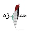 hamzamahmod86