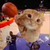 swooshywhooshy