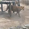 aww0aww