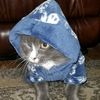 crippcat_
