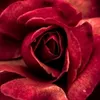 radia__me