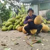tai1997.com