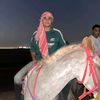 elsid_alaa