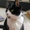 dys8b6tvlkc9