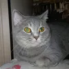 andrej_673