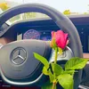 sahand.shaqlaway