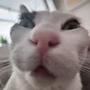 pabloorfao